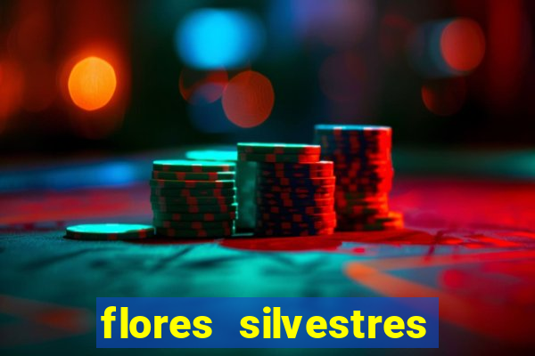 flores silvestres desbravadores desbravadores 25